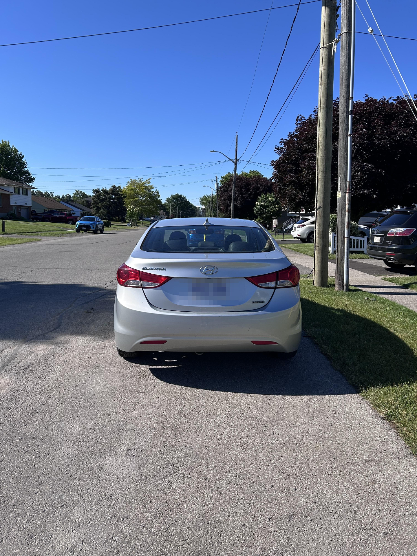Support car — Rear